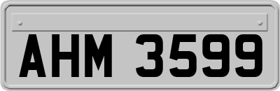 AHM3599