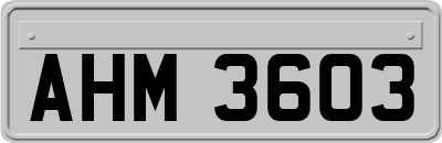 AHM3603