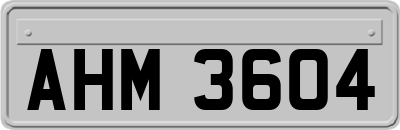 AHM3604