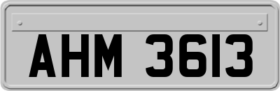 AHM3613