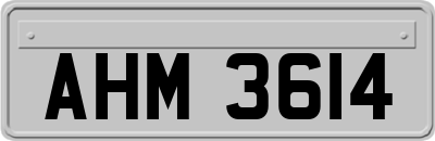 AHM3614