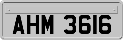 AHM3616