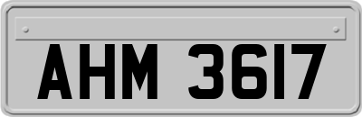 AHM3617