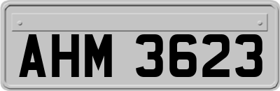AHM3623