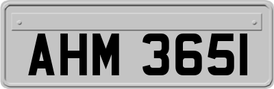 AHM3651