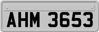 AHM3653