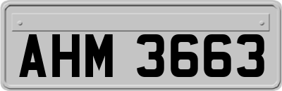 AHM3663