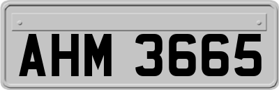 AHM3665