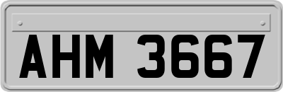 AHM3667