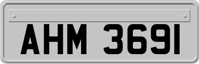 AHM3691