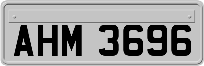 AHM3696