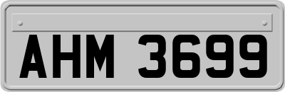 AHM3699