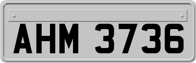 AHM3736