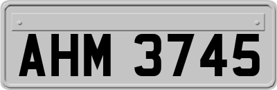 AHM3745