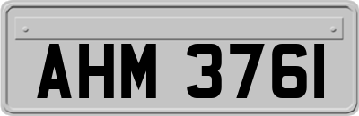 AHM3761