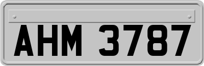 AHM3787