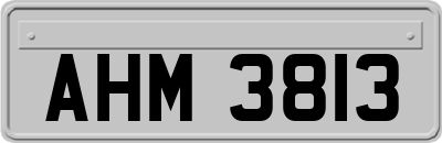 AHM3813