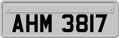 AHM3817