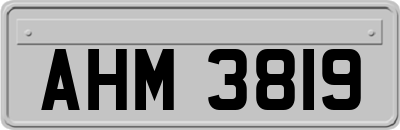 AHM3819