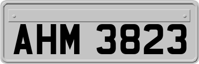 AHM3823