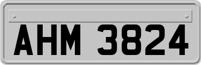 AHM3824