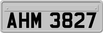 AHM3827
