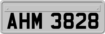 AHM3828
