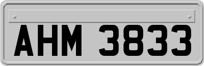 AHM3833
