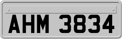 AHM3834