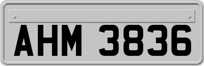 AHM3836