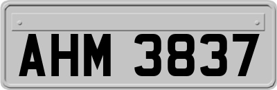 AHM3837