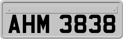 AHM3838