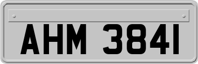 AHM3841