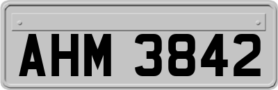AHM3842