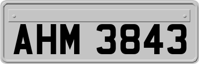 AHM3843
