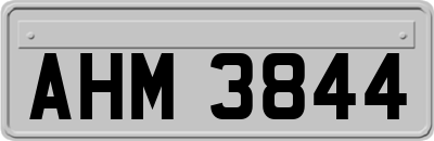 AHM3844