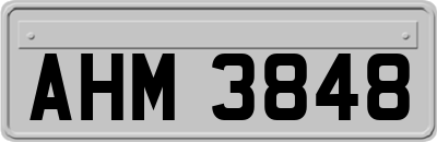 AHM3848