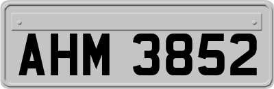 AHM3852