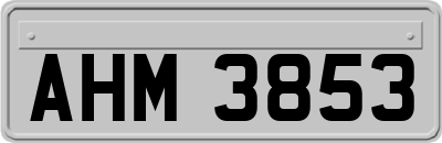 AHM3853