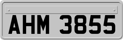 AHM3855