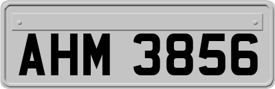 AHM3856