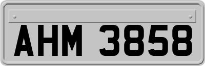 AHM3858