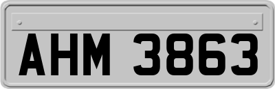 AHM3863