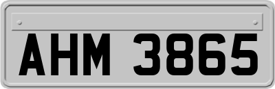 AHM3865