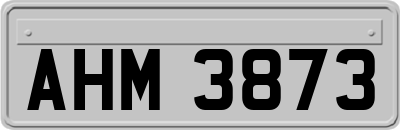 AHM3873