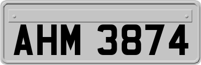 AHM3874