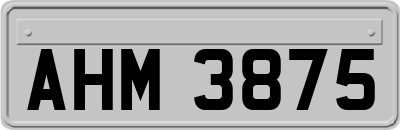 AHM3875