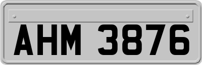 AHM3876