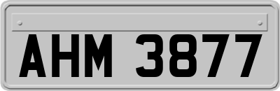 AHM3877