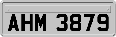 AHM3879